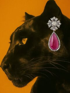 KALI Earrings — Power in its Purest Form
Forged in 18K white gold, crowned with the fire of diamonds and the soul of a 46.13 ct tourmaline, the KALI Earrings awaken the essence of the Goddess of Transformation. Kali — fierce protector, destroyer of illusion, and liberator of the soul — dances within every facet, turning chaos into creation and fear into freedom.
To wear them is to carry the pulse of the cosmos, the power of change, and the blessing of divine feminine energy.
#DakiniJewelry #KaliEarrings #MahabharataCollection #SacredAdornment #DivineFeminine #dakinijewellery #dakini #finejewellery #artofjewellery #artofjewelry #dakinijewelry #sacredjewelry #fantasyjewellery #fantasyjewelry #snakejewelry #snakejewellery #intentionjewelry #fantasyjewelry