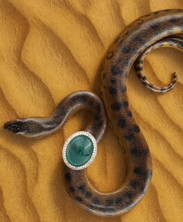 KRISHNA Ring from Mahabharata Collection
The KRISHNA Ring is a statement of power, elegance, and devotion — a masterpiece sculpted in oval emerald, diamonds and 18K yellow gold with an artistry that radiates timeless beauty.
At its heart shines a bold oval emerald, a stone of vitality and divine protection, long associated with Lord Krishna. Surrounding it, full-cut diamonds create a halo of brilliance, illuminating the rich green with an eternal sparkle.
The design balances majesty and grace, evoking both strength and compassion — the very essence of Krishna, the God of Love and a guide in life’s greatest journeys.
#DakiniJewelry #KrishnaRing #MahabharataCollection #FineJewelry #Emerald #Diamonds #dakinijewellery #dakini #finejewellery #artofjewellery #artofjewelry #dakinijewelry #sacredjewelry #fantasyjewellery #fantasyjewelry #snakejewelry #snakejewellery #intentionjewelry #fantasyjewelry