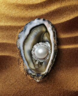 Inspired by Thetis, the legendary sea goddess (a Nereid) of Greek mythology and mother of Achilles, this exquisite Pearl and Diamonds ring from our Odyssey Collection is a tribute to timeless feminine power @dakinijewellery 

Revered for her beauty, wisdom, and unwavering devotion, Thetis shaped the destiny of the greatest warrior of ancient Greece. Like the goddess who inspired it, this ring embodies grace, strength, and the quiet influence that leaves an everlasting mark.

#dakini #dakinijewellery #pearlring #pearl #greekmythology